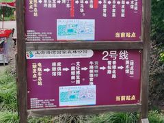 -上海海湾国家森林公园