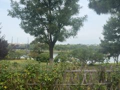 -蓬莱阁景区