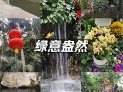 -郑州植物园