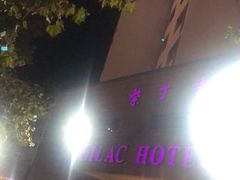 -紫丁香饭店-中餐厅