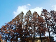 -一尺花园(安和花园店)