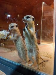 点击看大图 -酷嗒动物文化乐园(cutezoo西溪乐天城店)