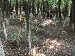 -亲兄弟真人CS团建拓展基地
