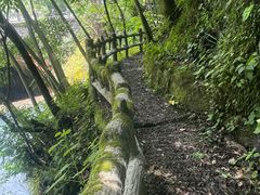 -神农架香溪源景区