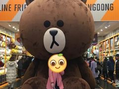 -line friends(明洞旗舰店)