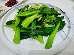 -常胜鲍鱼(吉大店)