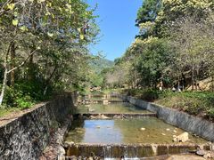 -广州白江湖森林公园