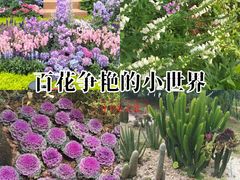 -白云公园(地铁站)