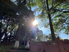 -成都市活水公园