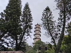 -江心屿景区