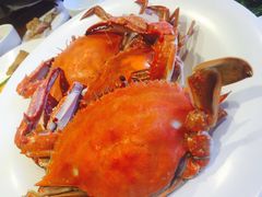 -赶海部落海鲜城(海阳路店)