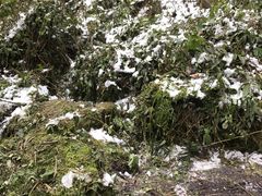 -西岭雪山大飞水景区