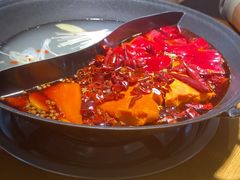 -阳阳老火锅(小南门店)