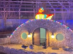 -南宫五洲植物乐园