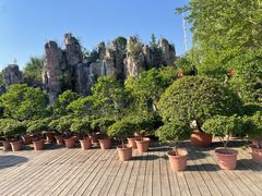 -秀丽东方