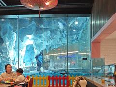 -帝企鹅自助餐厅•儿童岛•真企鹅(长隆企鹅酒店)