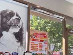 -瑞鹏宠物医院·微创内窥镜·骨外科·牙科(翠竹分院)