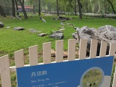 -秦皇岛野生动物园