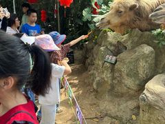 -海南热带野生动植物园