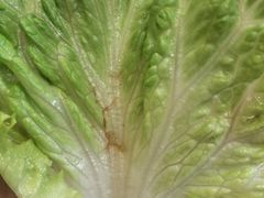 -炉队长·齐齐哈尔家庭烤肉(马家堡店)