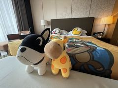 -上海崇明金茂凯悦酒店