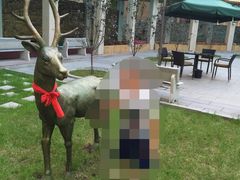 哈尔滨华特酒店-哈尔滨中央大街华特酒店