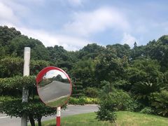 -平湖九龙山旅游度假区