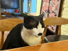 -雕刻时光·咖啡·酒吧·西餐(香山店)