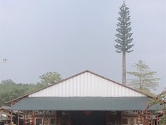 -合浦汉代文化博物馆