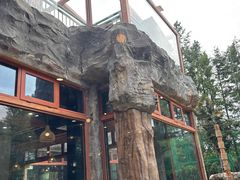 -上海野生动物园老虎餐厅