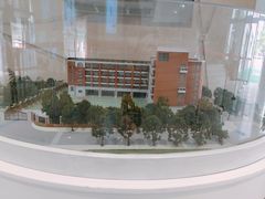 -上海市黄浦区卢湾第一中心小学