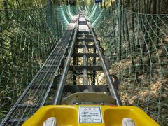 -藏龙百瀑风景区