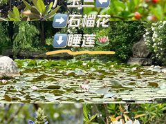 -上海吴淞炮台湾国家湿地公园