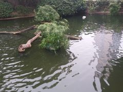 -九龙公园