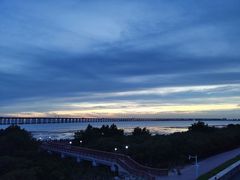 -宝安西湾红树林湿地公园