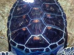 -石林冰雪海洋世界