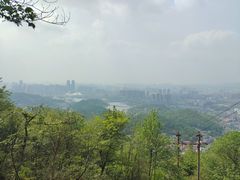 -养心阁足道馆(火宫殿一店)
