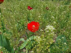 -长春公园(普阳街道)