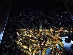 -昆虫窝子·特色云南菜(拓东路总店)