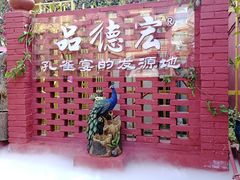 -品德宏·孔雀宴的发源地(金塔园店)