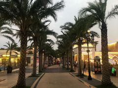 -三亚海昌梦幻海洋不夜城