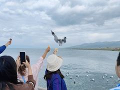 -青海湖国家重点风景名胜区