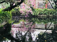 -广州兰圃