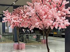 -黄浦路(地铁站)