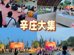-辛庄国际文化艺术区