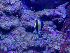 -成都浩海立方海洋公园