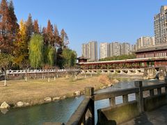 -温江公园