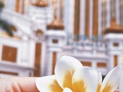 -厦门途易蓝罗约海景温泉酒店(园博苑地铁站店)