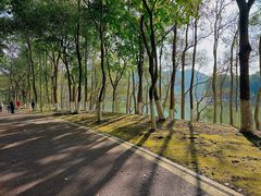 -凤岗南门山森林公园
