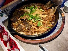 -老板恋上鱼(恒隆广场店)